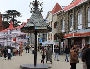 shimla tour package